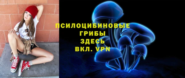винт Аркадак