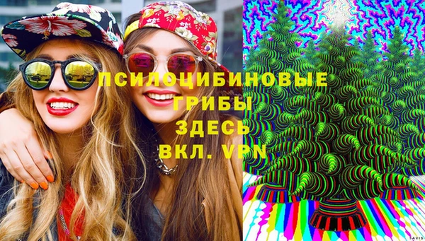 таблы Армянск